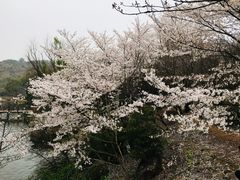 -白马涧龙池景区
