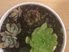 -风情丽江斑鱼火锅(孙家沟西南路80号店)