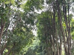 -南宁南湖公园