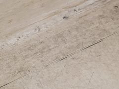 -上海市普陀区中心医院