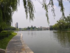 -莱西月湖公园