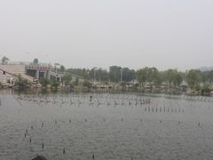 -济南国际园博园