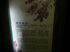 -三亚珠江南田温泉度假区