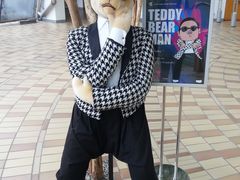 -济州岛泰迪熊博物馆