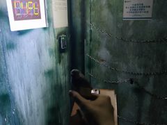 -DC逃逃屋沉浸剧情密室(南京东路步行街店)