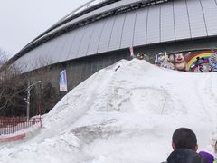 -沈阳奥体冰雪嘉年华
