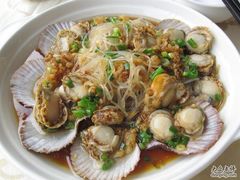 巨好吃的扇贝-海岛渔村大酒店(云霄路店)