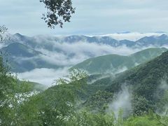 -莫干山风景区