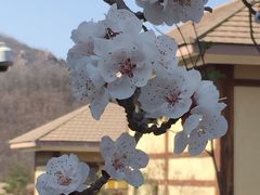 -金石唐风国际温泉会馆