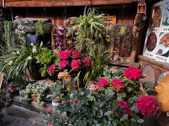 -龙姐私房菜(和顺古镇店)