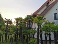 -太阳岛度假酒店