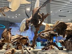 -国家自然博物馆