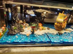 -金海湾自助餐厅(金陵饭店)