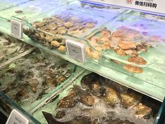 -超级物种·波龙工坊(国贸店)