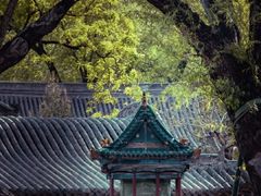 -晋祠公园