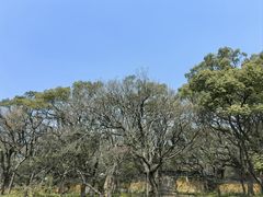 -普陀山风景名胜区-法雨禅寺
