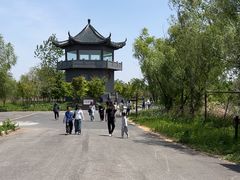 -盐城丹顶鹤湿地生态旅游区