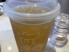冻顶冰晶蜜桃乌龙茶-华辉拉肠(宝华店)