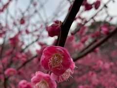 -凤凰沟景区