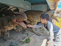 点击看大图 -宝燕乐园(闵行旗舰店)