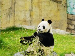 -上海野生动物园
