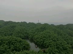 -沐川竹海旅游景区
