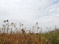 -沙家浜风景区