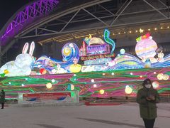 -沈阳奥体冰雪嘉年华