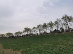 -洨河生态公园