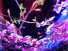 -南楚古都