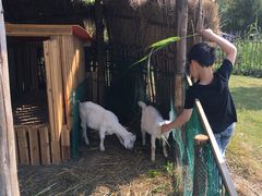 -明珠湖天鹅苑·农家菜馆