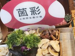 -菌彩云南野生菌火锅(新亚洲店)