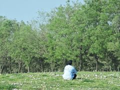 -汉长安城未央宫国家考古遗址公园