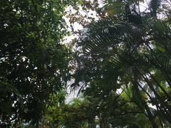 -三亚珠江南田温泉度假区