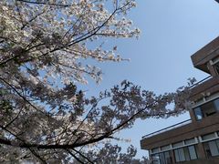 -萨莉亚意式餐厅(杭州西溪龙湖天街店)