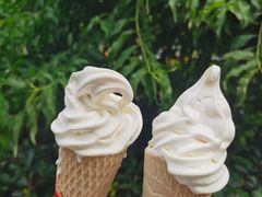 -蜜雪冰城(浙江大学店)