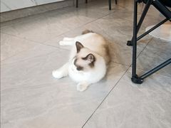 -益杯半舍·Yippee Barseh(宇宏健康花城店)