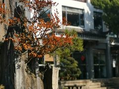 -东山雕花楼