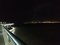 -演武大桥观景平台