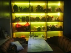 -Husky Go! 哈士奇体验馆·宠物咖啡厅狗咖