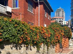 -溪岸路花鸟市场