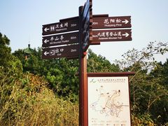 -北京西山国家森林公园