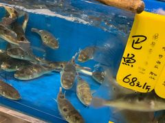 -飞尝蚝·顺德菜·鱼生(顺德总店)