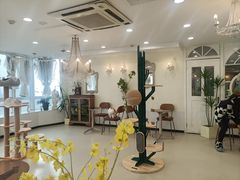 -共舞时光猫咖·狗咖(新街口店)