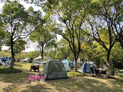 -吴淞炮台湾湿地森林公园烧烤区