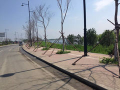 -呼兰河口湿地公园