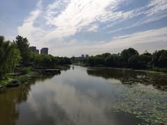 -新江湾城公园