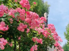 -黄浦路(地铁站)