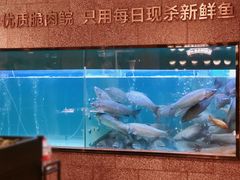 -淘米捞·米汤脆鲩鱼火锅(福田皇岗店)