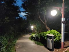 -仙人山公园